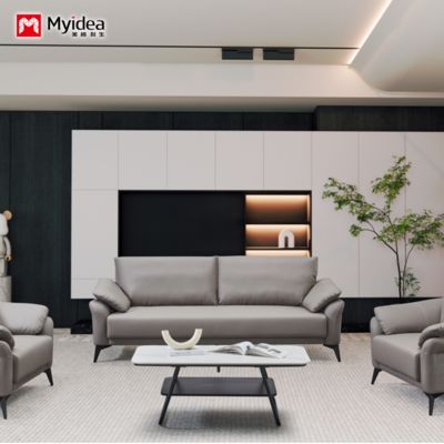 Beli Sofa Kulit Cakar Kucing, Ruang Tamu Ukuran Kecil, Toko Pakaian Nordik Apartemen Ganda dan Tiga Orang Sederhana, Warna Oranye online manufacture