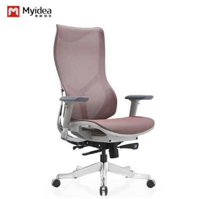Beli Kursi Ergonomis Grosir, Kursi Kantor, Kursi Komputer Angkat, Kursi Bos Rumah Sedentary, Kursi Putar, Kursi E-Sports online manufacture